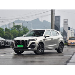 
										2023 Hongqi HS5 full									