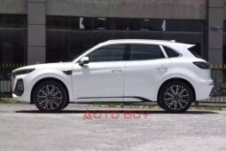 
										2023 Hongqi HS5 full									