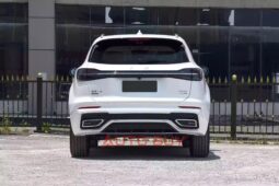 
										2023 Hongqi HS5 full									