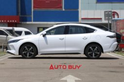 
										BYD Destroyer 05 2024 full									