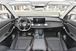 
										GAC Trumpchi Emkoo full									