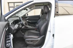 
										GAC Trumpchi Emkoo full									