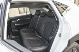 
										GAC Trumpchi Emkoo full									