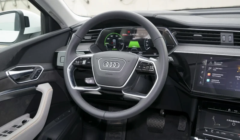 
								Audi e-tron full									