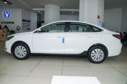 
										Changan EADO EV 2024 full									