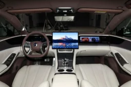 
										Denza Z9GT DM full									